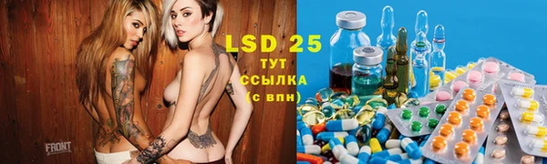 PSILOCYBIN Ладушкин
