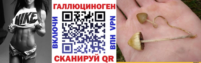 Псилоцибиновые грибы GOLDEN TEACHER  маркетплейс наркотические препараты  Лебедянь 